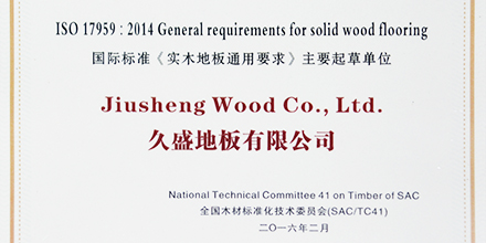 国标起草，权威保障